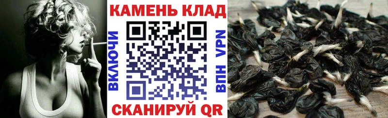 Гашиш Premium  Славгород 