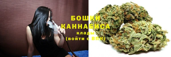 mdpv Белокуриха