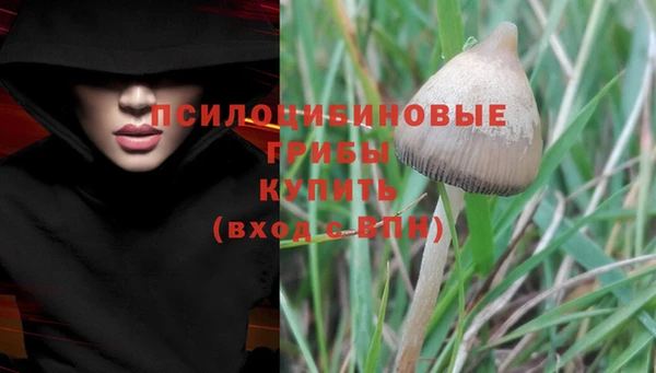 mdpv Белокуриха