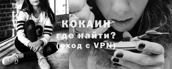 гидра Приозерск