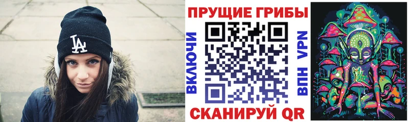закладки  МЕГА рабочий сайт  Галлюциногенные грибы MAGIC MUSHROOMS  Славгород 